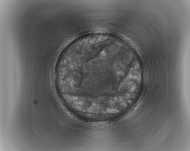 X0000112200721200908281439