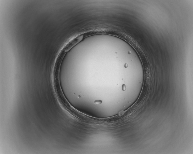 X0000112200726200908281439