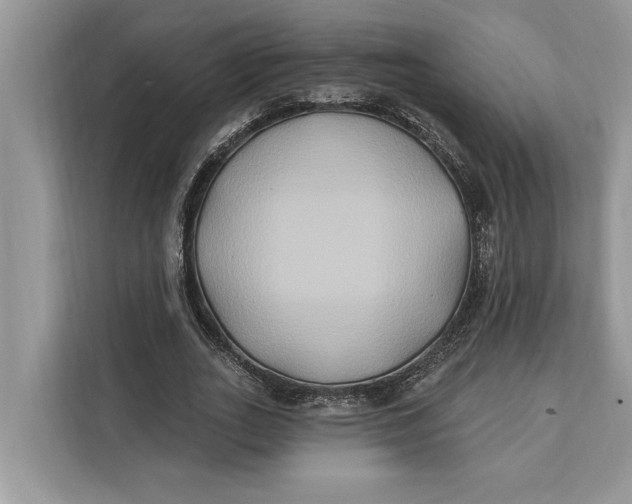 X0000112200727200908281439