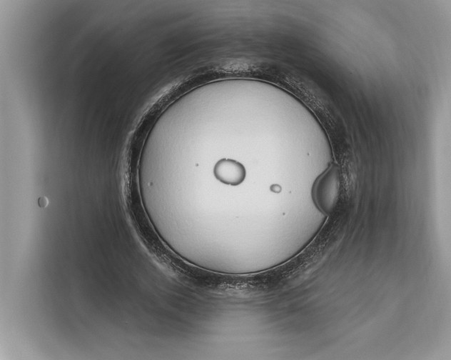 X0000112200728200908281439