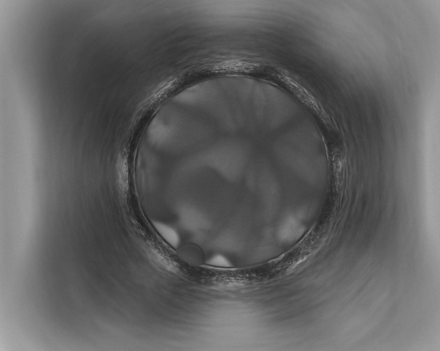 X0000112200729200908281439