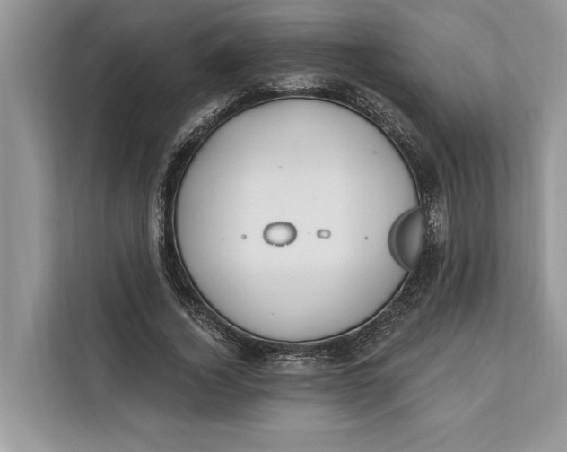 X0000112200732200908281439