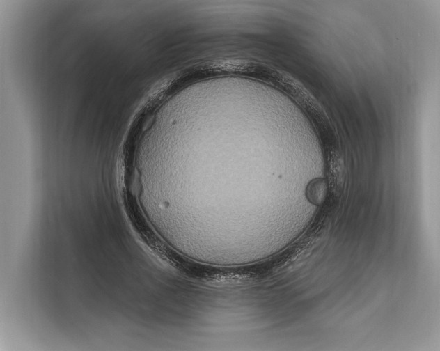 X0000112200734200908281439