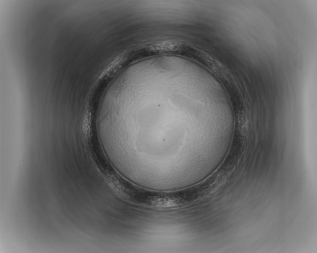 X0000112200735200908281439