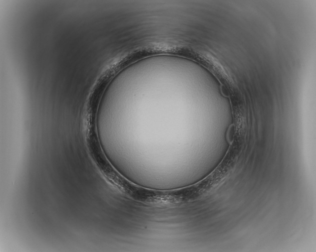 X0000112200736200908281439