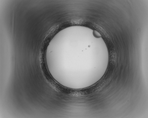 X0000112200738200908281439