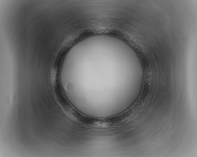 X0000112200742200908281439