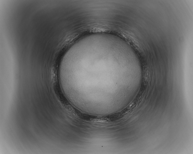 X0000112200743200908281439