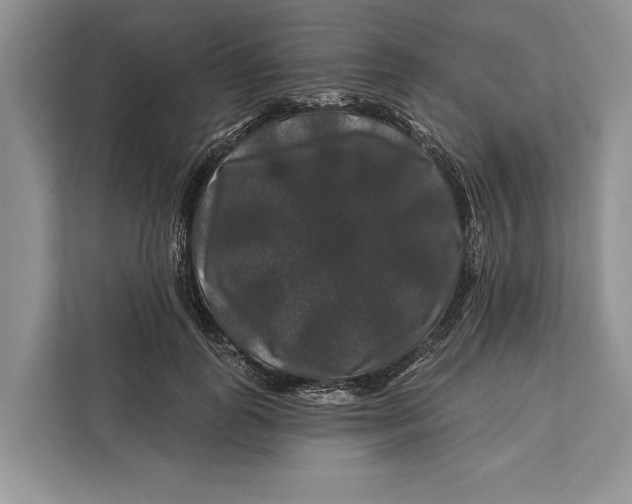 X0000112200747200908281439