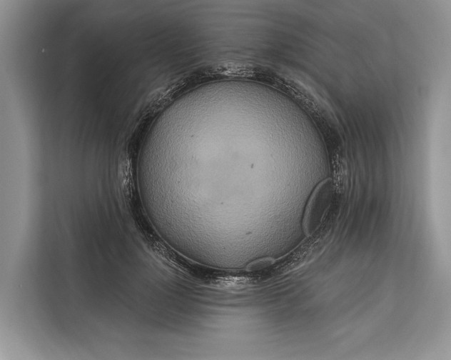 X0000112200748200908281439