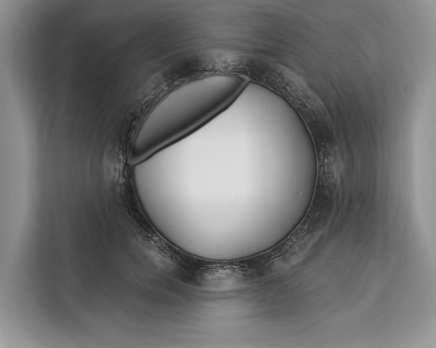 X0000112200750200908281439