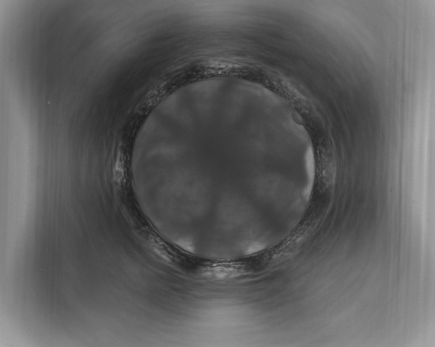 X0000112200758200908281439