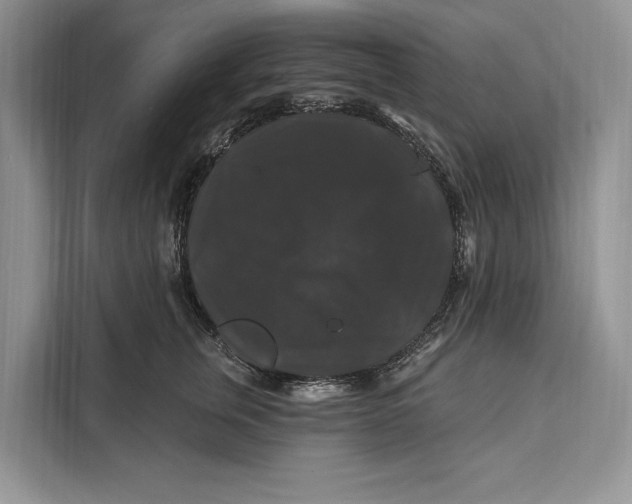 X0000112200759200908281439