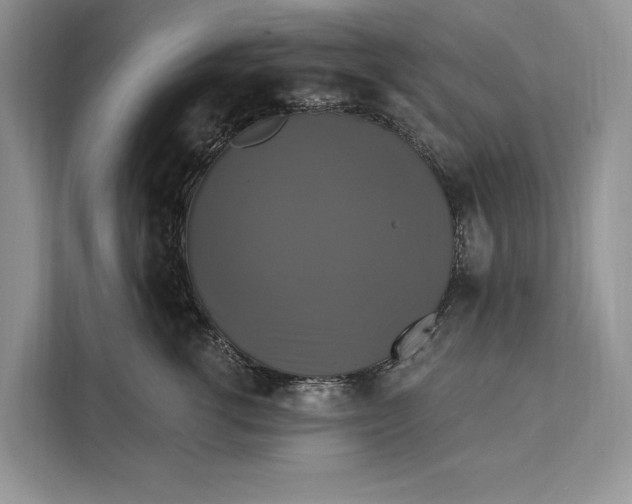 X0000112200762200908281439