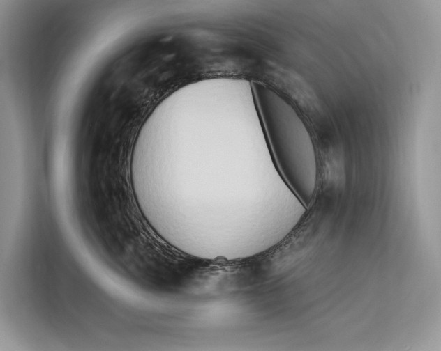 X0000112200764200908281439