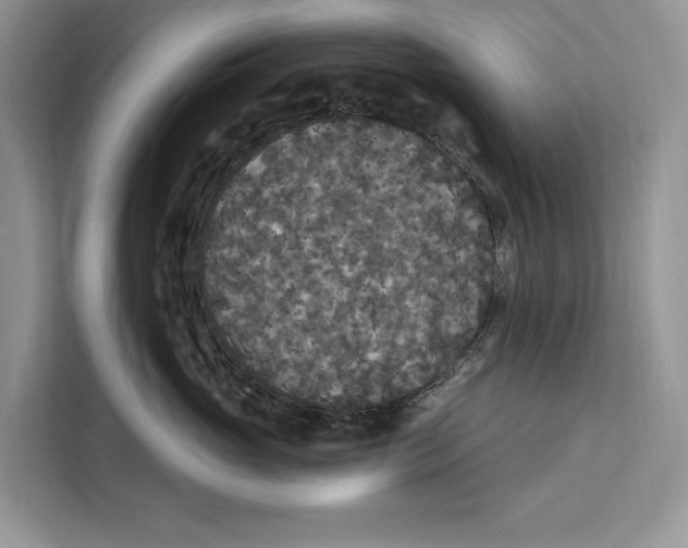 X0000112200765200908281439