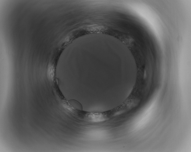 X0000112200767200908281439