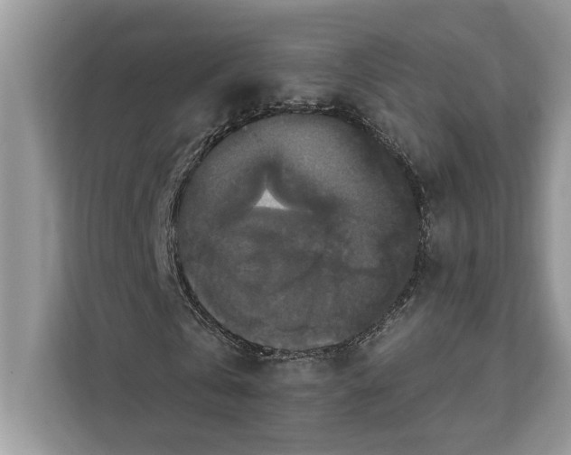 X0000112200769200908281439