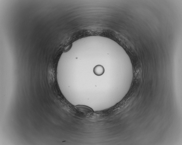 X0000112200772200908281438