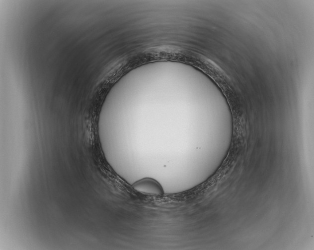 X0000112200774200908281438