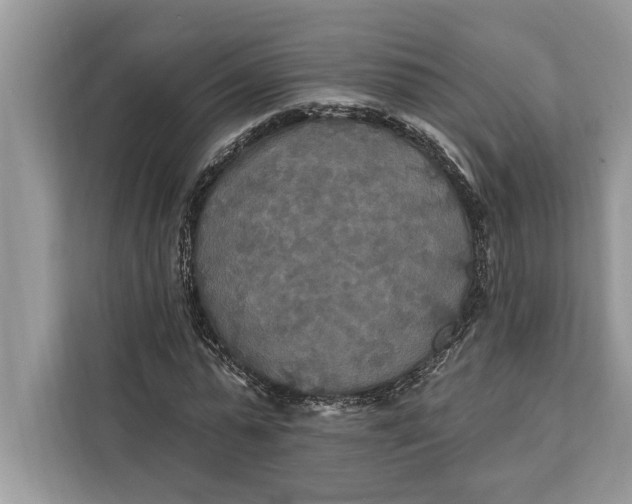 X0000112200775200908281438