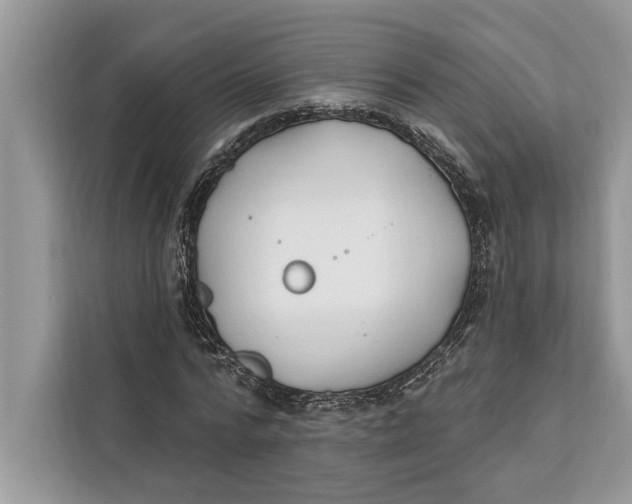 X0000112200776200908281438