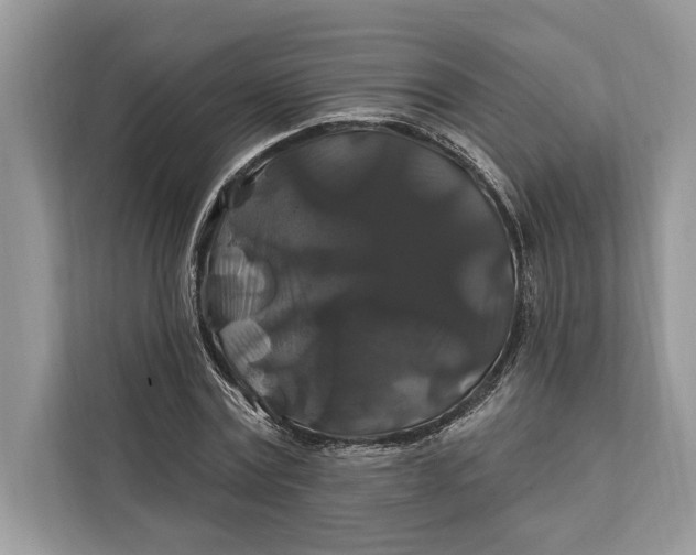 X0000112200779200908281438