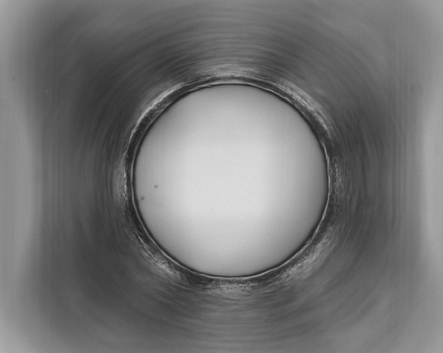 X0000112200782200908281438