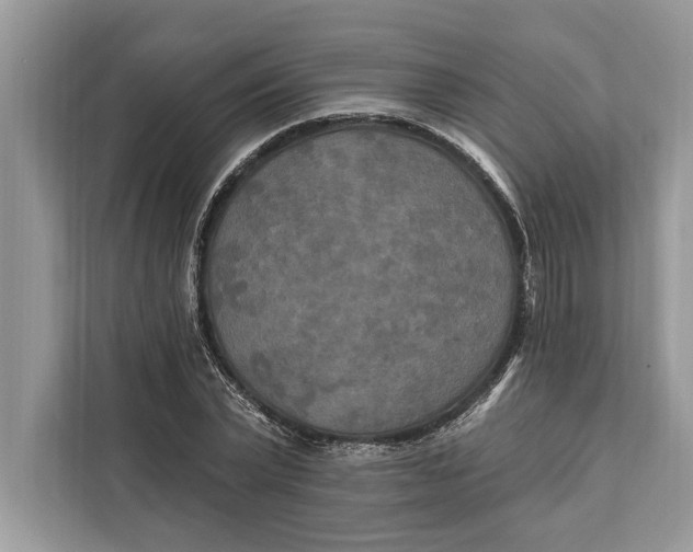 X0000112200783200908281438