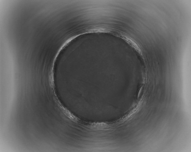 X0000112200784200908281438