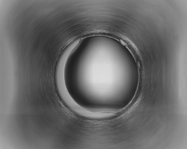 X0000112200785200908281438