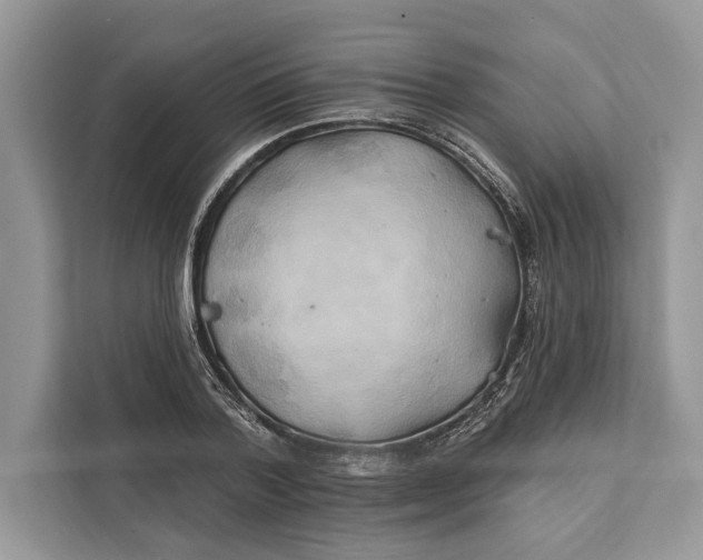 X0000112200788200908281438