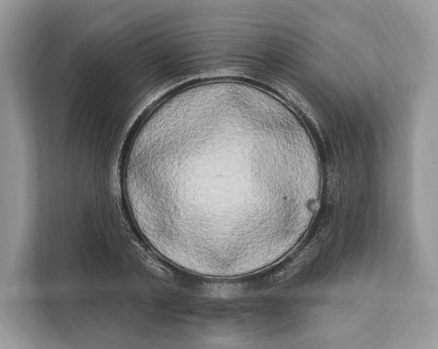 X0000112200789200908281438