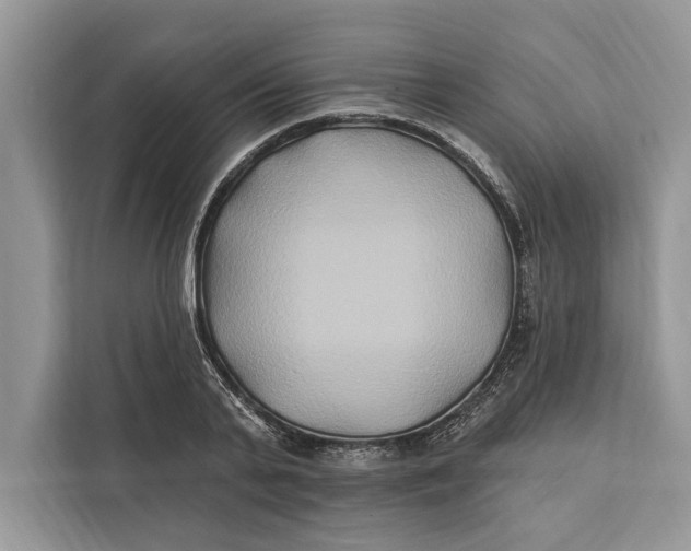 X0000112200791200908281438