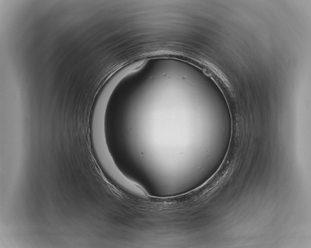 X0000112200793200908281438