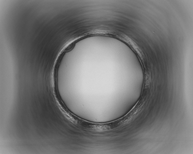 X0000112200795200908281438