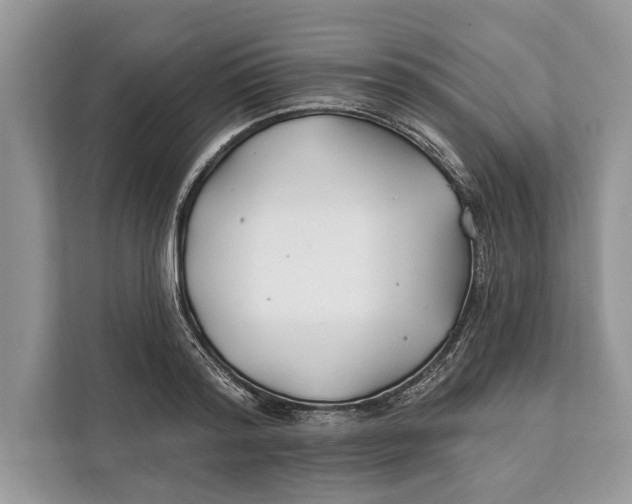 X0000112200796200908281438