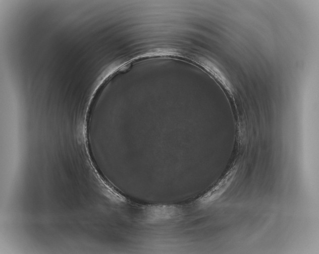 X0000112200797200908281438