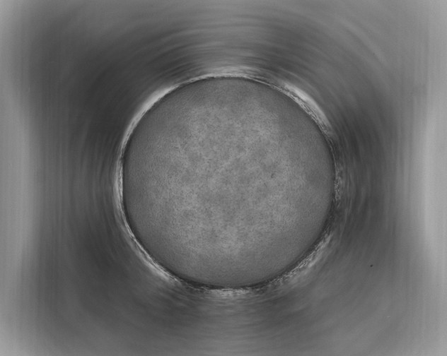 X0000112200804200908281438