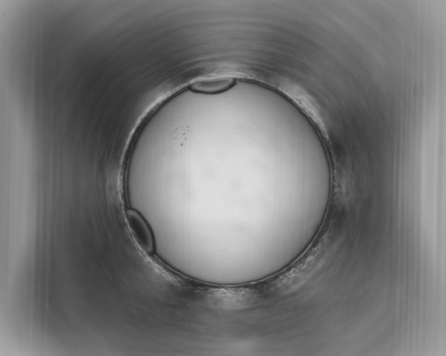 X0000112200805200908281438