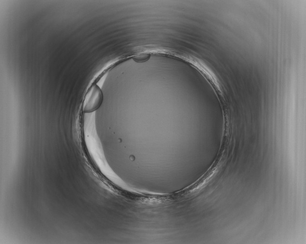 X0000112200806200908281438