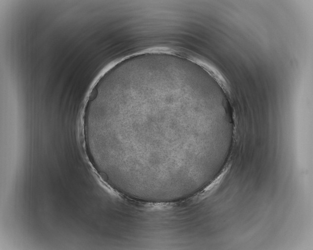 X0000112200808200908281438