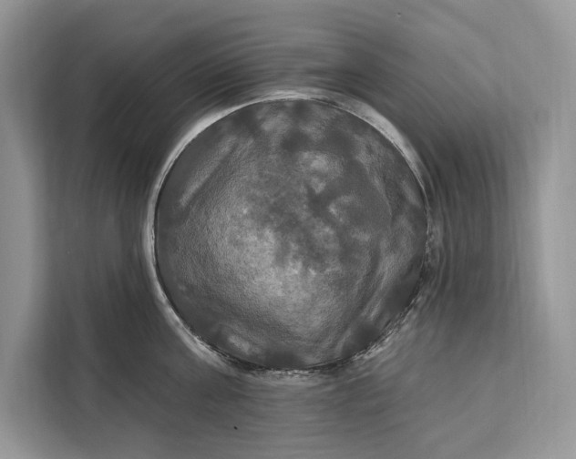 X0000112200811200908281438