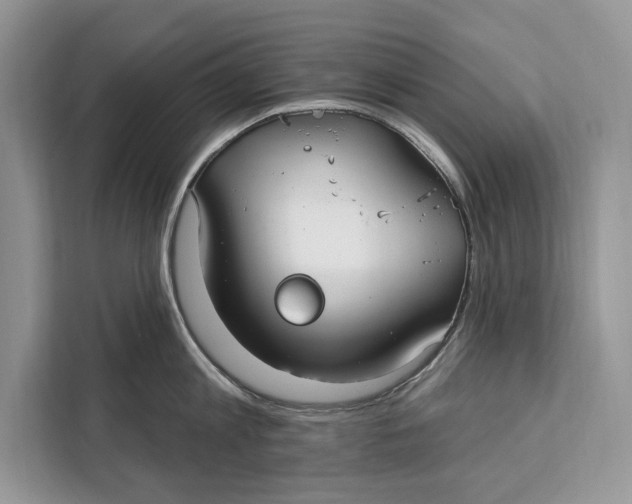 X0000112200813200908281438