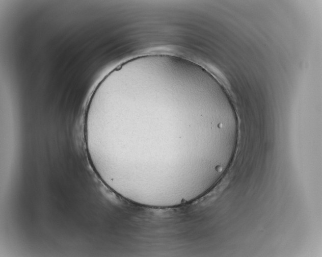 X0000112200816200908281438