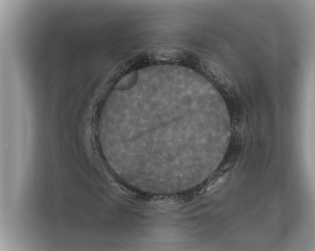 X0000112200817200908281437