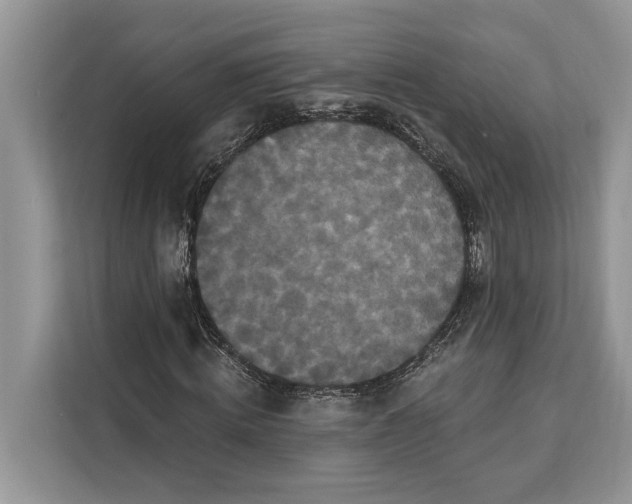 X0000112200820200908281437