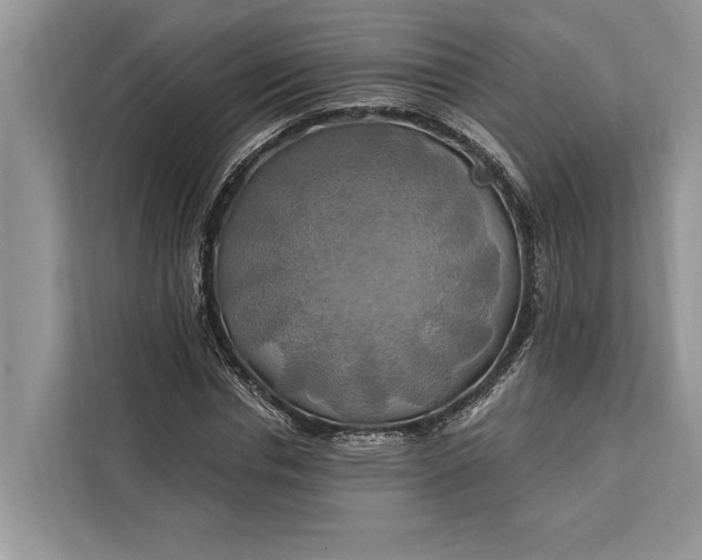 X0000112200826200908281437