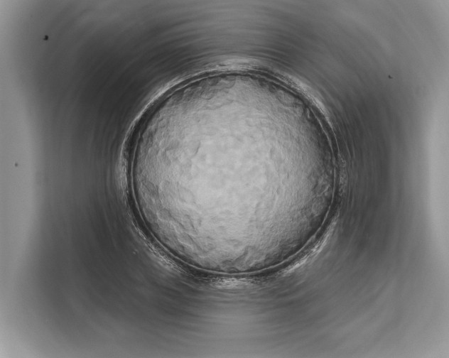 X0000112200835200908281438