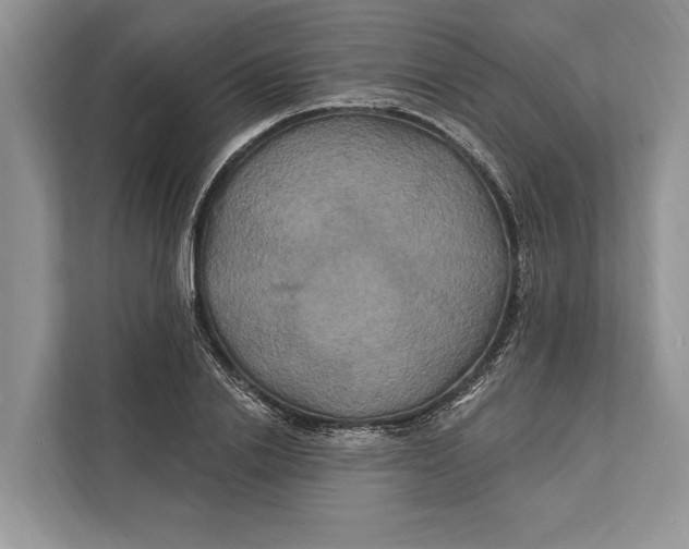 X0000112200838200908281438